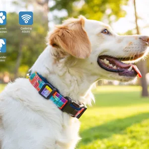 GPS Pet Trackers: Are They Worth the Monthly Fee?